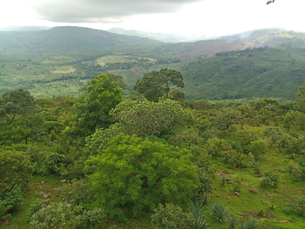 Article : &laquo; Merveille &raquo; naturelle