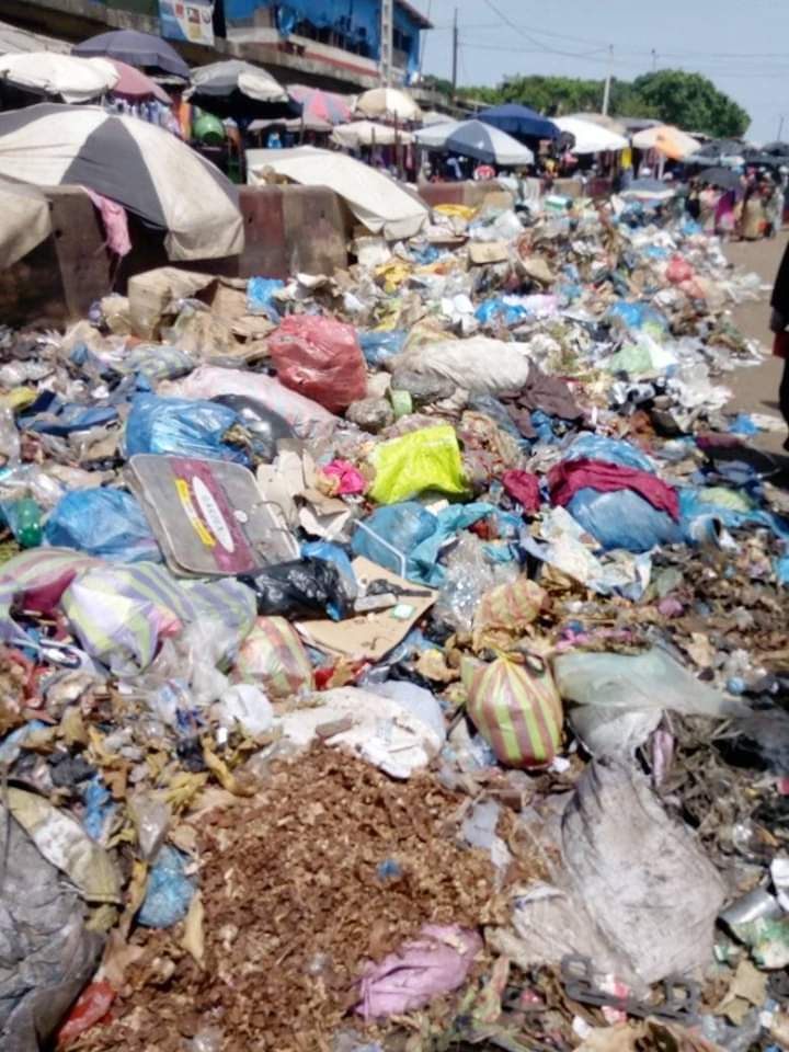 Article : Le sachet plastique&nbsp;: cet autre probl&egrave;me environnemental que nous n&eacute;gligeons